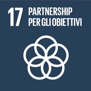 SDG 17